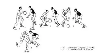 适合不同年龄段篮球爱好者的体能训练方案_1