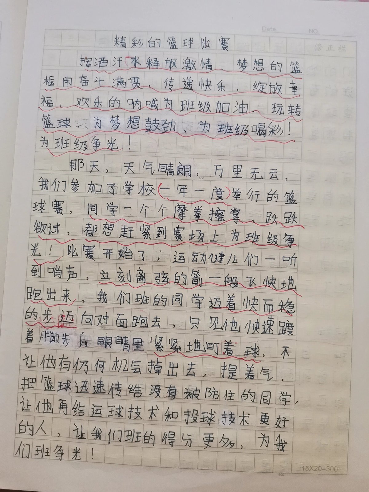篮球训练心得300字怎么写